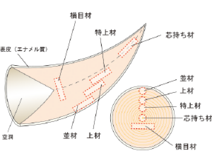 inzai_05.png