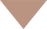 kotei_sankaku.png